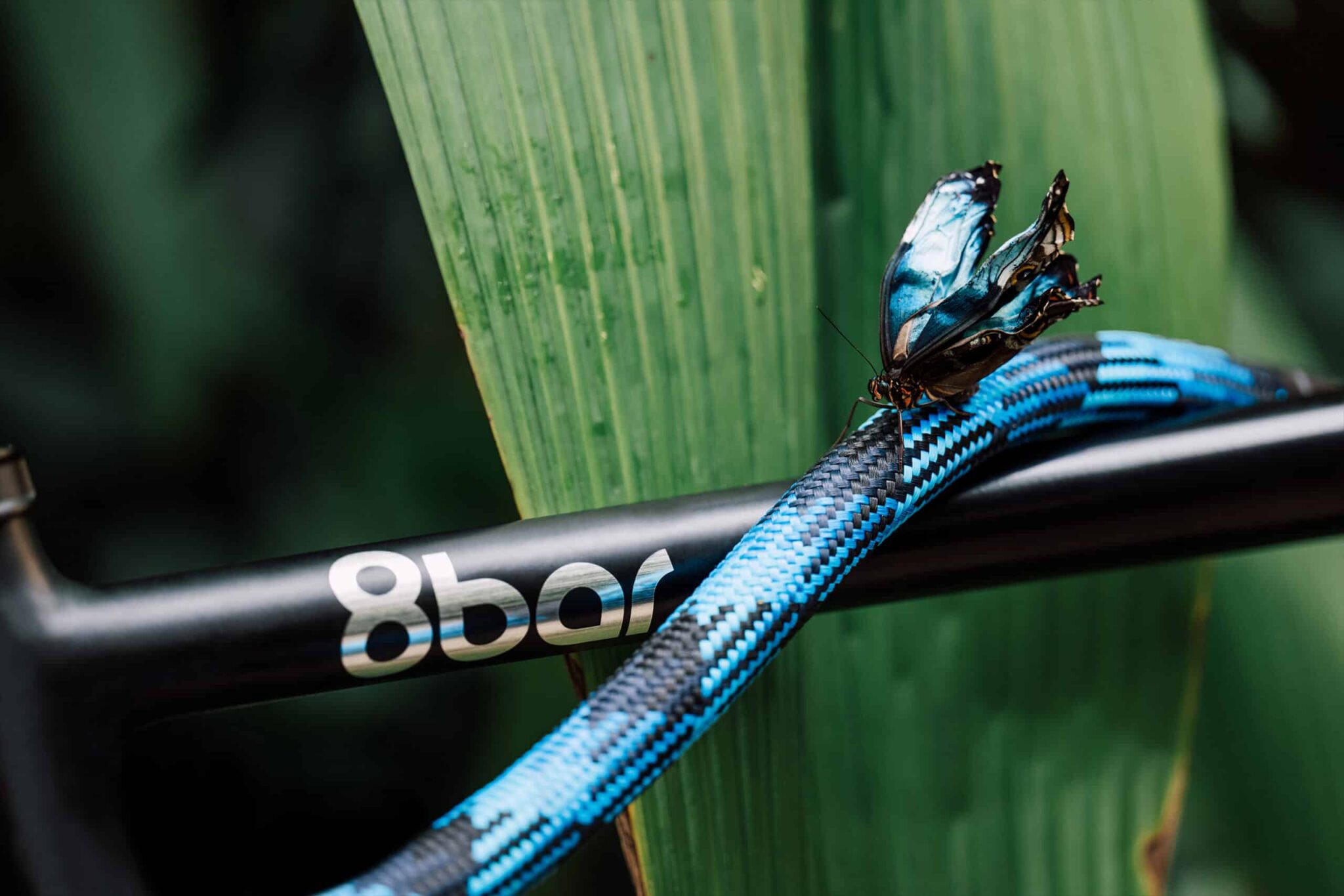 tex–lock textile rope in morpho blue on black bike frame with blue morpho butterfly